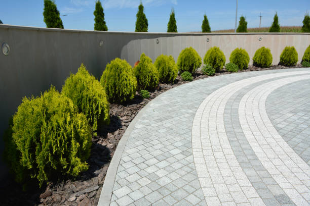 Driveway Repair Near Me in Troy, MI